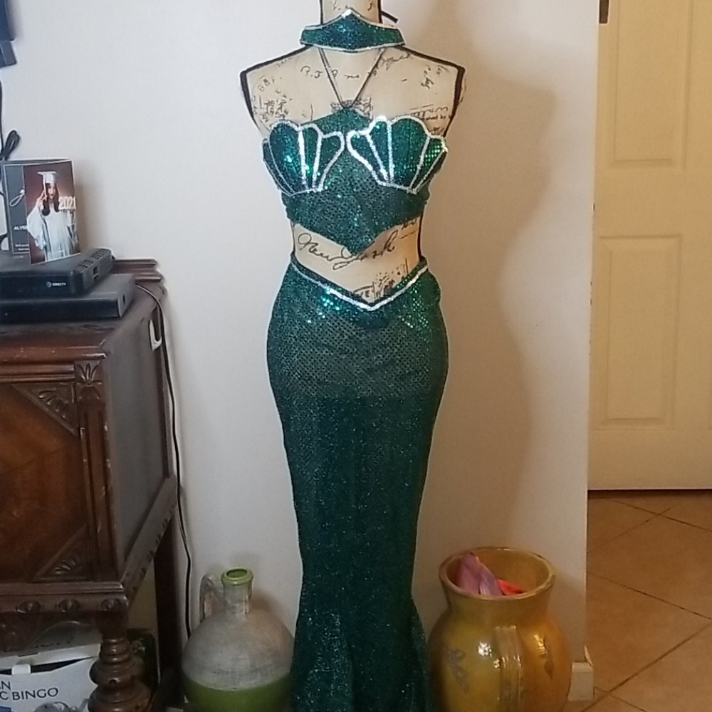 Chardes Mermaid Halloween costume